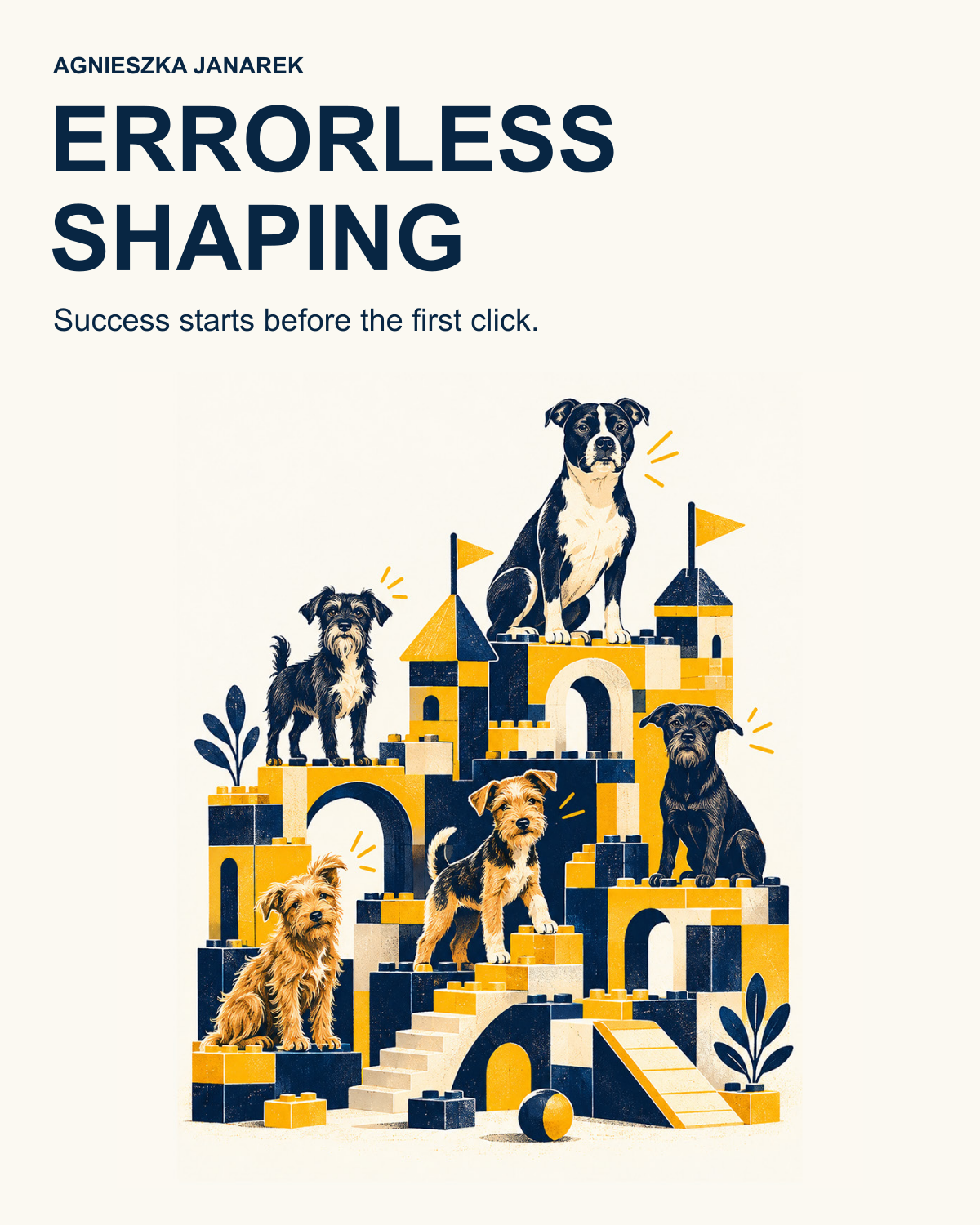 Cover of Errorless Shaping